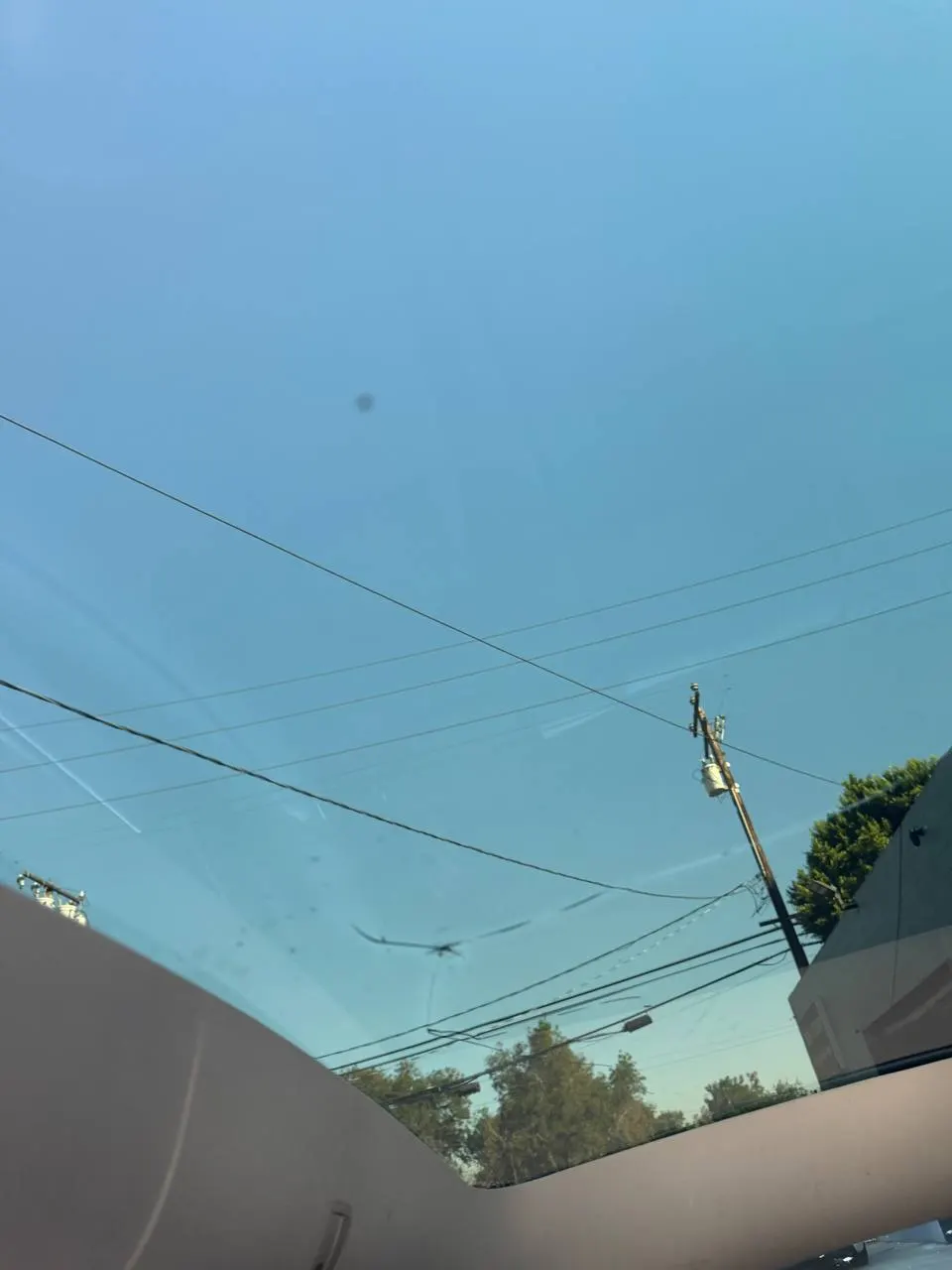 Curved crack in Tesla Model Y panoramic roof glass viewed from inside the cabin.